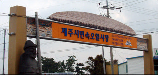 제주민속오일장 특성화시장 변신, 최대 20억 투입
