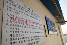 믿는 도끼에 발등찍힌 어민들 수협이니 믿었지