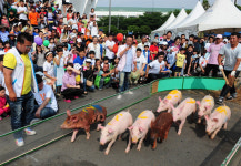 니들이 도새기를 알아?...제주도새기축제 성황