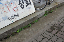 덜덜 거리는 그의 재봉틀 소리가 그립습니다