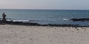 맛갈난 제주산 조개류, 고향  바다로...