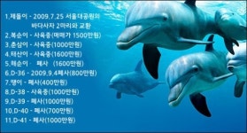 퍼시픽랜드 제주 돌고래 11마리중 6마리 죽었다