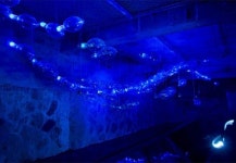 지속가능한 행복 서귀포시 유토피아로