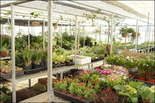 꽃과 커피, 보이지 않던 그들을 불러내다