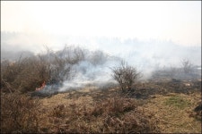 제주시 월평동 목장 대형화재...7시간만에 진화