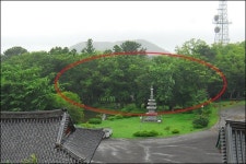 잘려나간 참나무들, 한라산 관음사에 무슨 일?