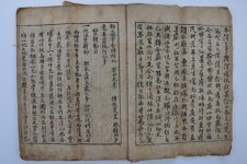 현존 최고의 제주인 초상화, 유형문화재 지정