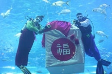 아쿠아플라넷 제주, 설 특별 이벤트...도민 50% 할인