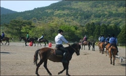 말 특구 제주에 승마 미로공원 생긴다