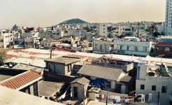 화재, 태풍... 고난 속에 우뚝 선 동문공설시장