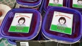 용암, 바다, 곶자왈... 한곳에서 만나는 제주