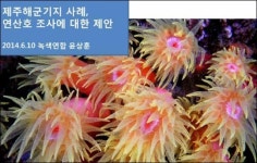 강정 해군기지 세계적 연산호 군락지 훼손