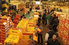 “제주감귤농사 망해봐야 정신 차릴 테죠”