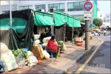 10여년 묵은 민원 해결 제주 동문시장 인도가 트였어요