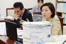 제주왕벚꽃축제, 서사라 문화거리축제와 통합되나?