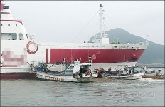 제주 신양항 여객선 사고 선박회사 입건