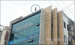 10대 여고생 제주시 한복판 옥상서 투신소동