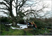 새 생명을 낳지 못하는 불행한 여신