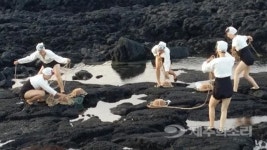성산 바다 물들인 제주해녀의 춤사위