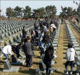 제주4.3희생자유족청년회, 행불인 표석 정비
