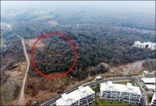 난개발에 사라지는 제주의 허파 ‘곶자왈의 눈물’