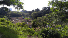 야금야금 무단경작 제주 신산공원, 천연 야외공연장 어때요?