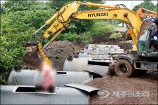 격리, 차단, 매몰...제주는 지금 돼지열병과 전쟁중