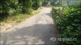 집 앞 도로만 생각하면 ‘한숨’, 제주시민 사연은?