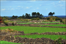 제주시청 ‘제탐사’ 소소한 풍경전 ‘하도마을’편
