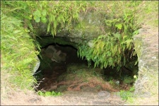 군수가 인정한 학술적 가치, 용역보고서는 외면했다