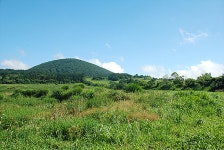 상가관광지 부지매입 ‘OK’, 노른자 비축토지 매각은 ‘안돼’