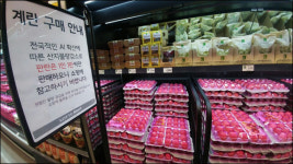 AI 청정지역인데도 제주 업계는 울상, 왜? “달걀을 사수하라”