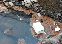 ‘사람과 자연의 공존’ 내세운 도정, 청정제주 지켜낼 수 있을까?