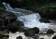 ‘사람과 자연의 공존’ 내세운 도정, 청정제주 지켜낼 수 있을까?