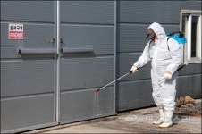 외부인 접촉 거부, 24시간 농장 대기...AI옮길라 제주 농가 초긴장