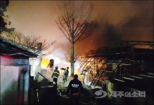 서귀포 비닐하우스 불 감귤나무 40여그루 잿더미