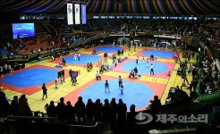 제주평화기 전국 태권도대회 막...20일까지 열전