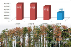 2000억 투입한 제주 소나무재선충병 ‘고비 넘겼나’