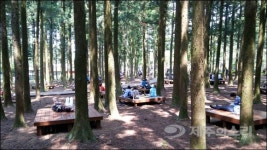 제주 절물자연휴양림 방문객 지속 증가