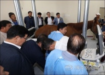 역시 말의 고장 제주! 말 전문 동물병원까지 개원