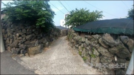제주 화북 금산마을 도로 뚫어? 말어?