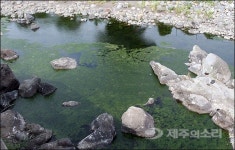 마르지 않는 샘물은 옛말...제주 용천수 곳곳 바닥