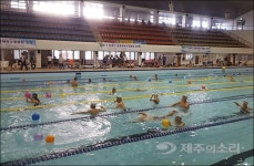 제6회 제주 장애인생활체육 수영대회 성황 마무리