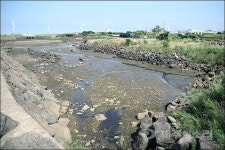 제주 한경면 해안가 몇년째 악취 진동, 당국은...