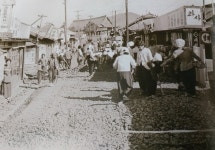 제주 181km 일주도로 공사비 30%는 도민 노력봉사