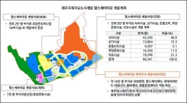 中부동산 업체에 맡긴 제주헬스케어타운 ‘뒷감당 어찌하나’