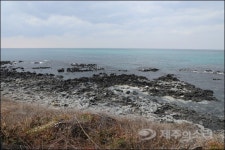 제주 한경 판포리 해안가 덮은 회색 가루는 시멘트