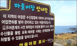 물꾸럭-구젱기 잡지맙써 합·불법 사이 아슬아슬 줄타기