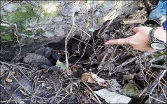 제주 가축분뇨 숨골 배출 법원도 인정 줄줄이 실형 엄벌