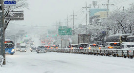 예고없는 폭설에 제주 평화로 마비...비상해제 성급